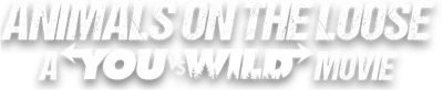 Animals on the Loose: A You vs. Wild Movie