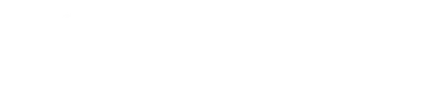 The Curious Case of Dolphin Bay