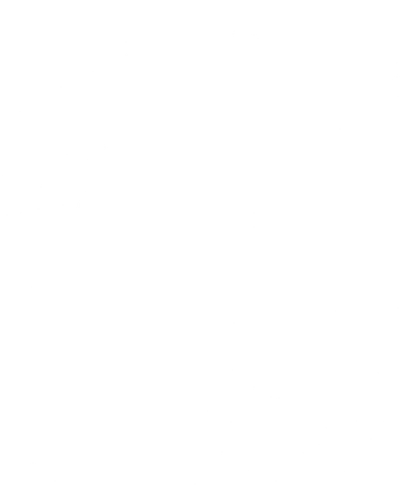 The 410