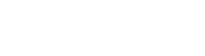 The Remarkable Life of Ibelin