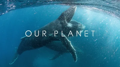 Our Planet