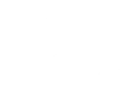 Love Bugs