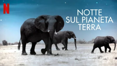 Notte sul pianeta Terra