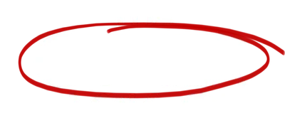 The Other Black Girl