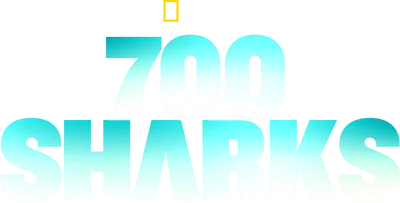 700 Sharks