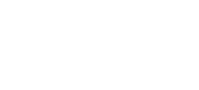 The Wedding Veil Expectations