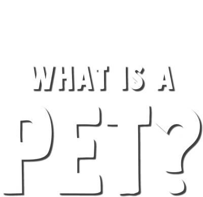 Forky Asks a Question: What Is a Pet?