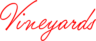 Natale nel vigneto