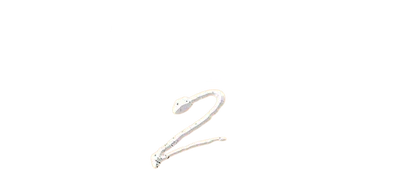 Kung Fu Traveler 2