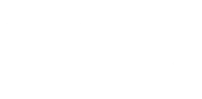 The Wedding Veil Inspiration
