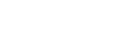 The Snail and the Whale