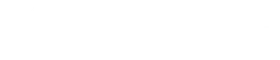 A Brief History of the Future