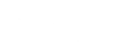 Miraculous Brothers