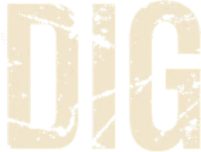 Dig