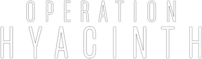 Operation Hiacynt