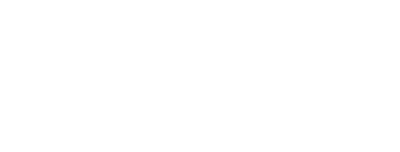 Lights, Camera, Christmas!