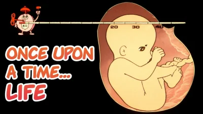 Once Upon a Time... Life