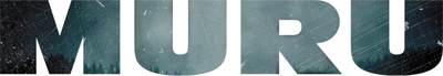 The Raid