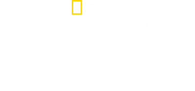 Benvenuto sulla Terra