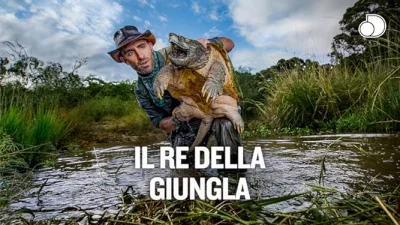 Il re della giungla