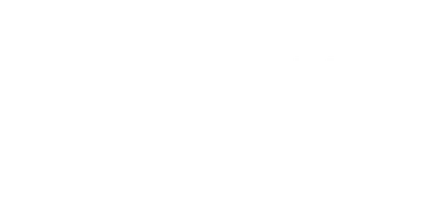 The Pregnancy Scheme