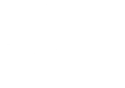 Born Racer