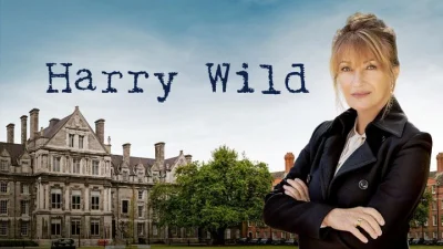 Harry Wild - La signora del delitto